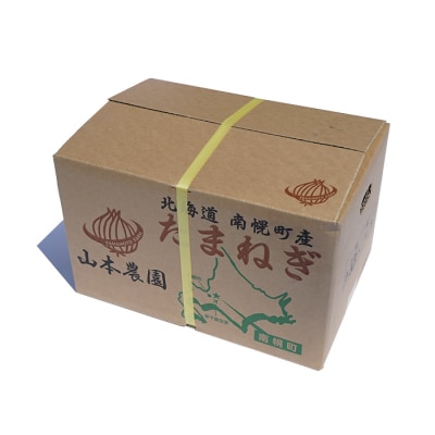 北海道産 南幌町産 山本農園のたまねぎ L〜L大サイズ前後 10kg 玉ねぎ タマネギ 玉葱