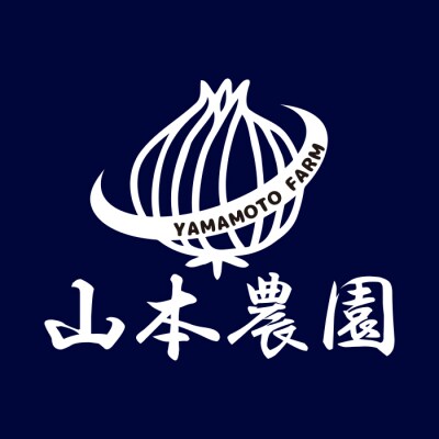 北海道産 南幌町産 山本農園のたまねぎ L大サイズ前後 5kg 2回定期便 (11月・12月発送)