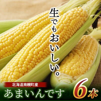 令和7年発送 北海道産 とうもろこし あまいんです 6本 /朝採れ 一番果