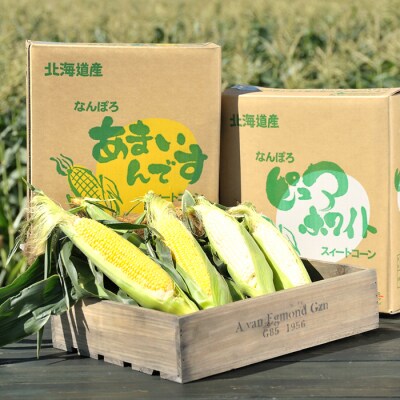 令和7年発送 北海道産 とうもろこし ピュアホワイト3本&あまいんです3本 計6本