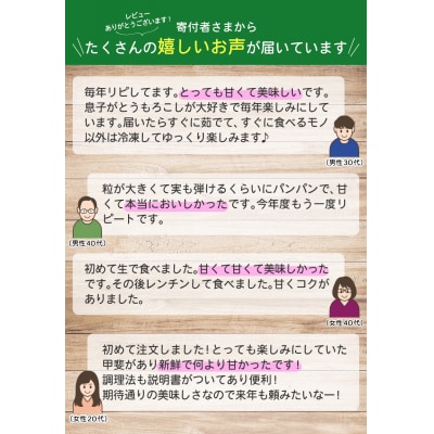 令和8年配送 北海道産 とうもろこし ピュアホワイト 20本 朝採れ 一番果