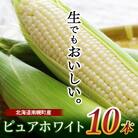 北海道産 とうもろこし ピュアホワイト 10本 朝採れ 一番果 令和7年配送
