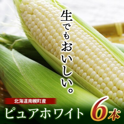 令和8年発送 北海道産 とうもろこし ピュアホワイト 6本 /一番果 とうきび 産地直送
