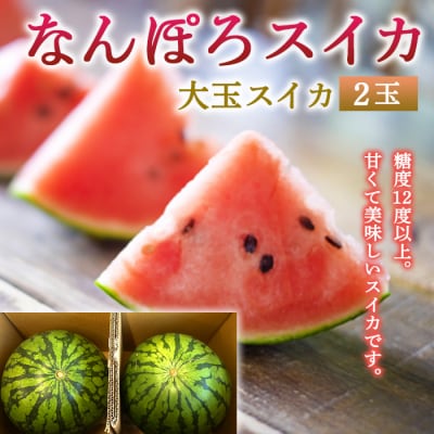 北海道産 大玉スイカ 2玉 約14kg なんぽろスイカ 糖度12度以上 8月発送 JAなんぽろ