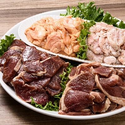 北海道南幌町 なんぽろバーベキューセット (ジンギスカン・ホルモン) 