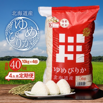 令和5年度産 ゆめぴりか 40kg【10kg×4ヵ月定期便】翌月配送開始 金王冠 北海道南幌町