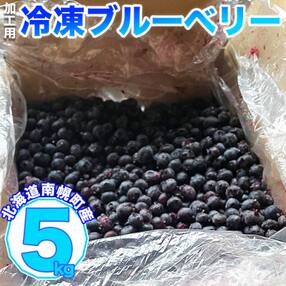 北海道南幌町産 冷凍ブルーベリー 加工用 5kg 7月下旬より発送 JAなんぽろ直送
