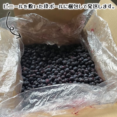 北海道産 たっぷり使える 冷凍ブルーベリー 5kg 加工用 大容量 無農薬栽培 南幌町