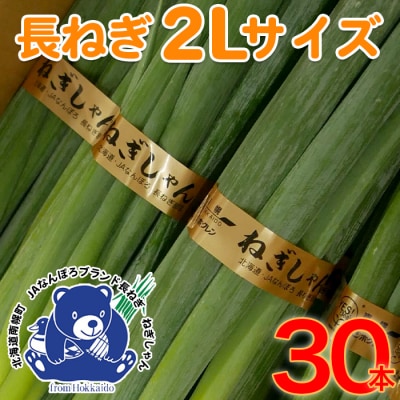 北海道南幌町産 長ねぎ 2L 30本(JAなんぽろブランド:ねぎしゃん)8月中旬より発送 