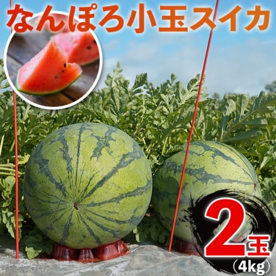  北海道産 小玉スイカ 2玉 約4kg なんぽろ小玉すいか 8月発送 シャリシャリ食感 南幌町産