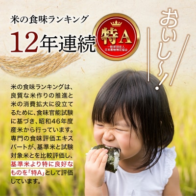 令和5年産《無洗米》 ゆめぴりか 16.2kg 《1.8kg×3袋×3ヵ月定期便》北海道南幌町産