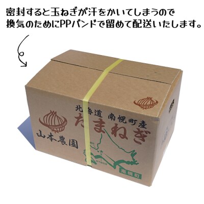 北海道産 南幌町産 山本農園のたまねぎ L大サイズ前後 10kg 2回定期便(10月・12月発送)