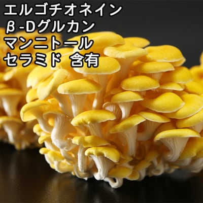 エルゴチオネイン含有 たもぎ茸濃縮エキス バイオゴッド 80cc×10袋入り タモギダケ