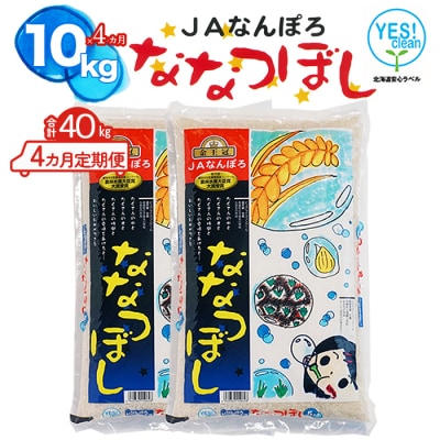 ななつぼし 40kg(10kg×4カ月定期便) 令和6年産 YES!clean 北海道安心ラベル