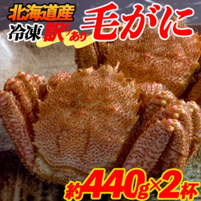 【訳あり】北海道産 冷凍ボイル毛がに 2杯 計880g前後 約440g×2