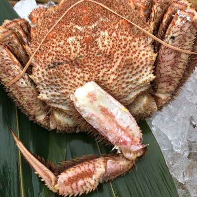 【訳あり】北海道産 冷凍ボイル毛がに 2杯 計880g前後 約440g×2