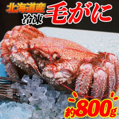 北海道産 毛がに 約800g 北海道産 ボイル済 冷凍 ことぶきや