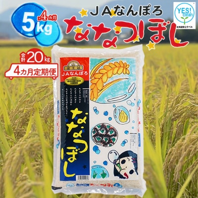 ななつぼし 20kg(5kg×4カ月定期便) 令和6年産 YES!clean 北海道安心ラベル