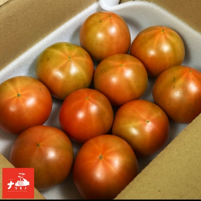北海道 南幌町産 ぜいたくトマト 約1kg(10玉程度) 朝採れ 新鮮 濃厚トマト ナリモノファーム