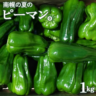 ピーマン 北海道 南幌町産「ピクシー」約1kg 産地直送