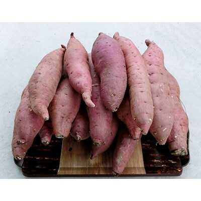 やまもと野菜工房のさつまいも「紅はるか」　5kg