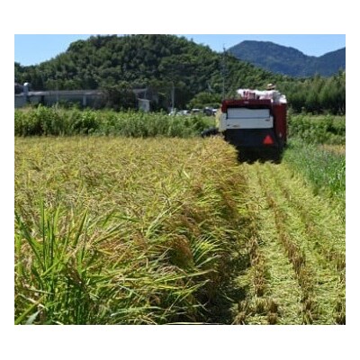 【元気つくし】古賀で育ったおいしいお米(5kg)