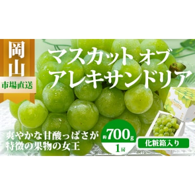 【令和7年発送・先行受付】岡山県産　マスカットオブアレキサンドリア　Cz-8