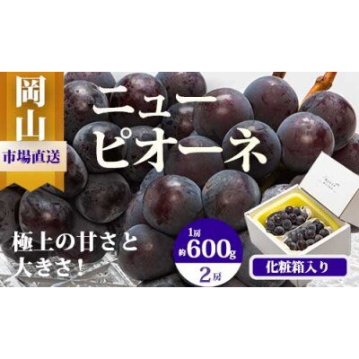 【令和7年発送・先行受付】岡山県産　ニューピオーネ(1房600g以上)2房　化粧箱入り　EE-64