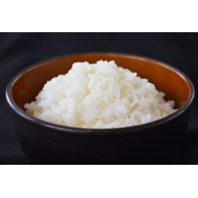 令和7年産　ごてんばこしひかり「このはなの恵み」(精米5kg)