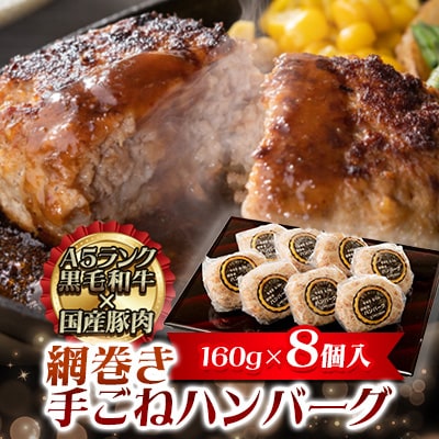 網巻き手ごねハンバーグセット(160g×8個入)