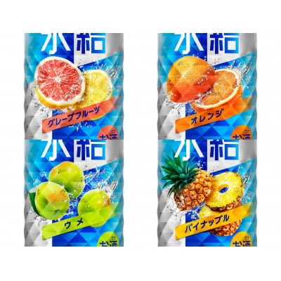キリン酎ハイ12種贅沢セット350ml(12種×各2本)　氷結・本搾り・華よいシリーズ