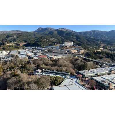 【御殿場市】ヘリコプター遊覧(5分)ギフトチケット1枚(2～3名様までご利用可能)