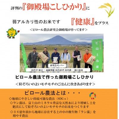 ピロール米御殿場こしひかり　2kg(精米)