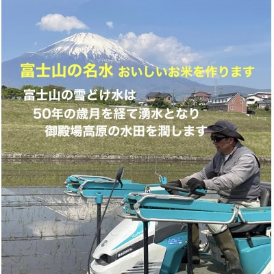 ピロール米御殿場こしひかり　2kg(精米)