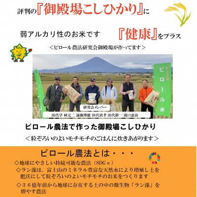ピロール米御殿場こしひかり　5kg(精米)