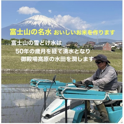 ピロール米御殿場こしひかり　5kg(精米)