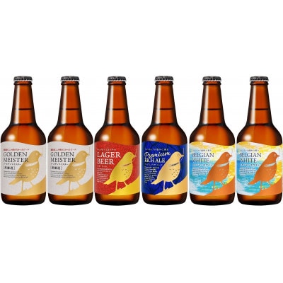 クラフトビール飲み比べ　計6本セット