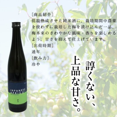 自然郷 梅酒 500ml 1本