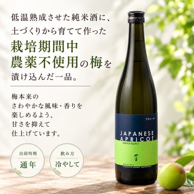 【さとふる限定】大木代吉本店 自然郷 梅酒 日本酒 500ml 1本