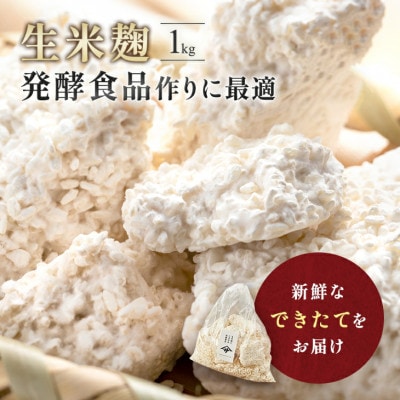 生米麹1kg　塩麹、生甘酒、醤油糀、味噌などの発酵食品作りに!安心安全の無添加!