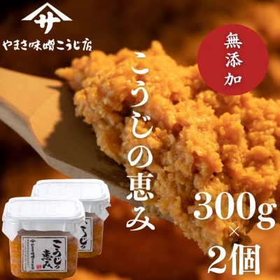 こうじの恵み　～300g×2個～
