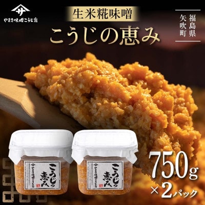 糀が生きてる生米糀味噌「こうじの恵み」1.5kg