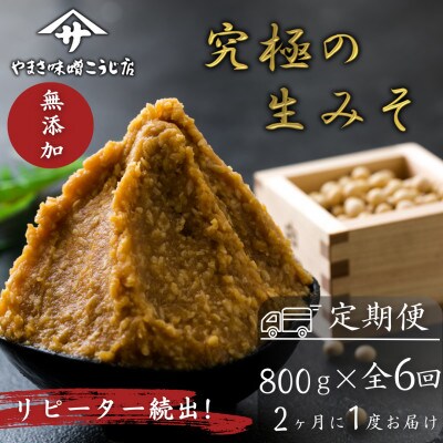 【2ヵ月毎定期便】蔵出し直送、究極の生みそ 800g全6回