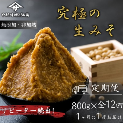 【毎月定期便】蔵出し直送 究極の生みそ 800g全12回