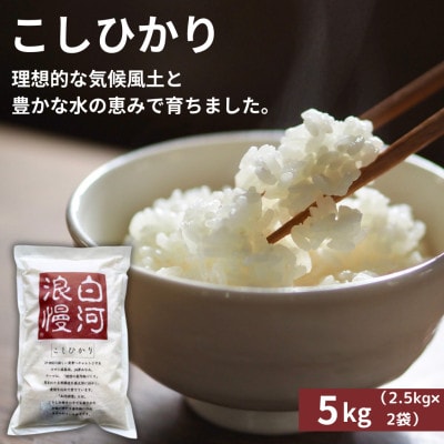令和6年産米 白河浪慢こしひかり 5kg 精米