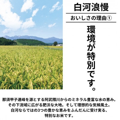令和6年産米 白河浪慢こしひかり 5kg 精米