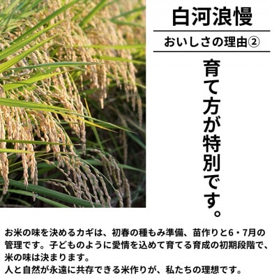 令和6年産米 白河浪慢こしひかり 5kg 精米