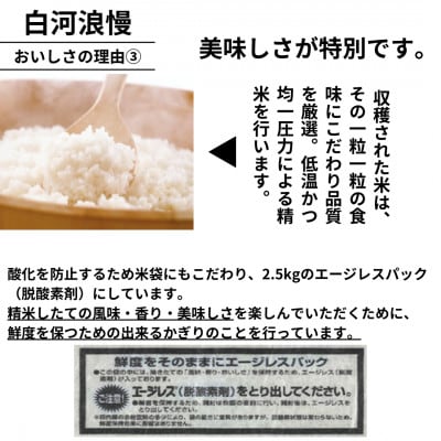 令和6年産米 白河浪慢こしひかり 5kg 精米