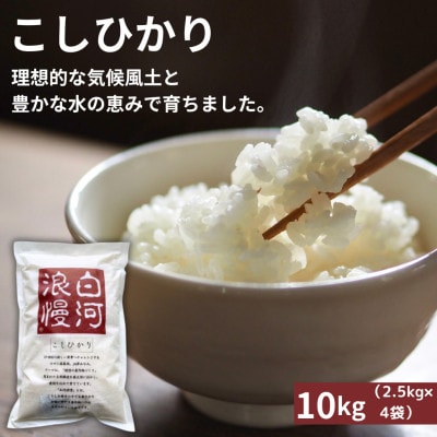 令和6年産米 白河浪慢こしひかり 10kg 精米