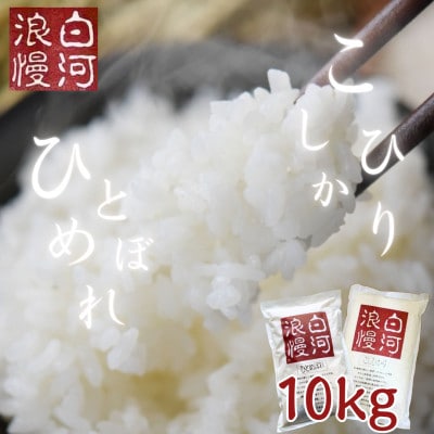 令和6年産米 白河浪慢ひとめぼれ&こしひかりセット 計10kg 精米